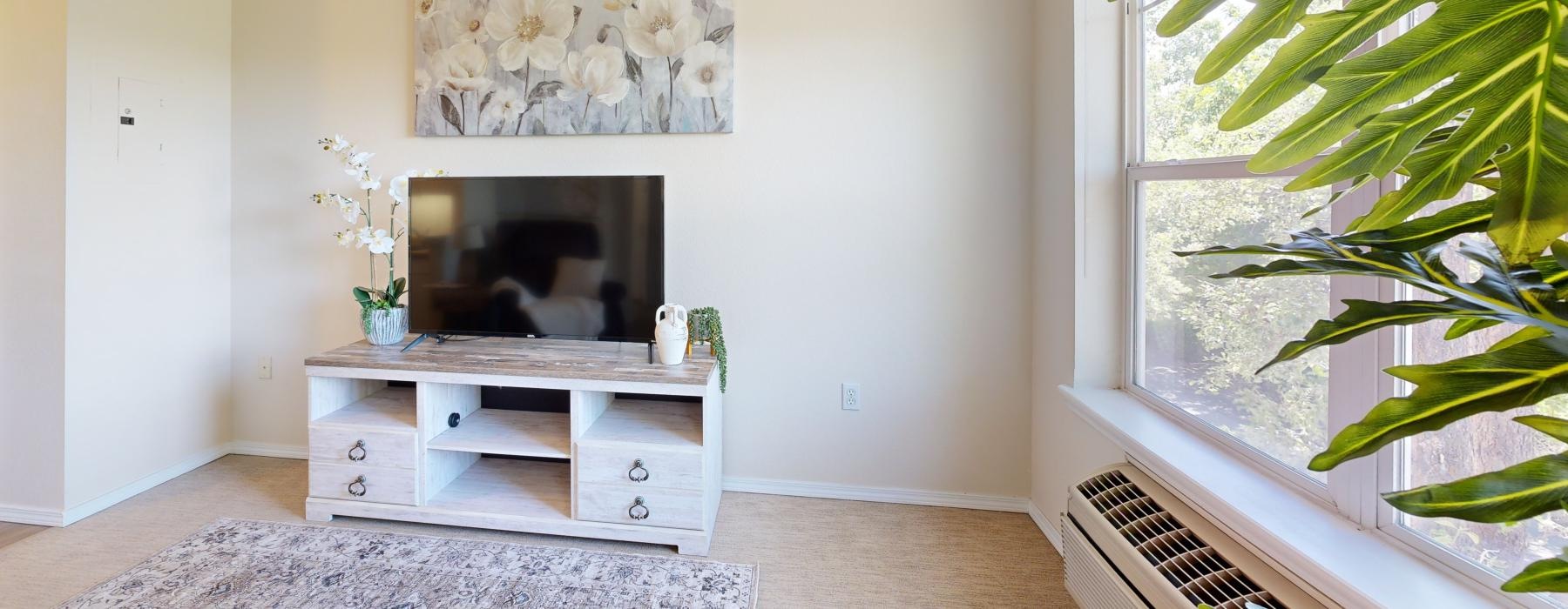 a room with a tv and a plant